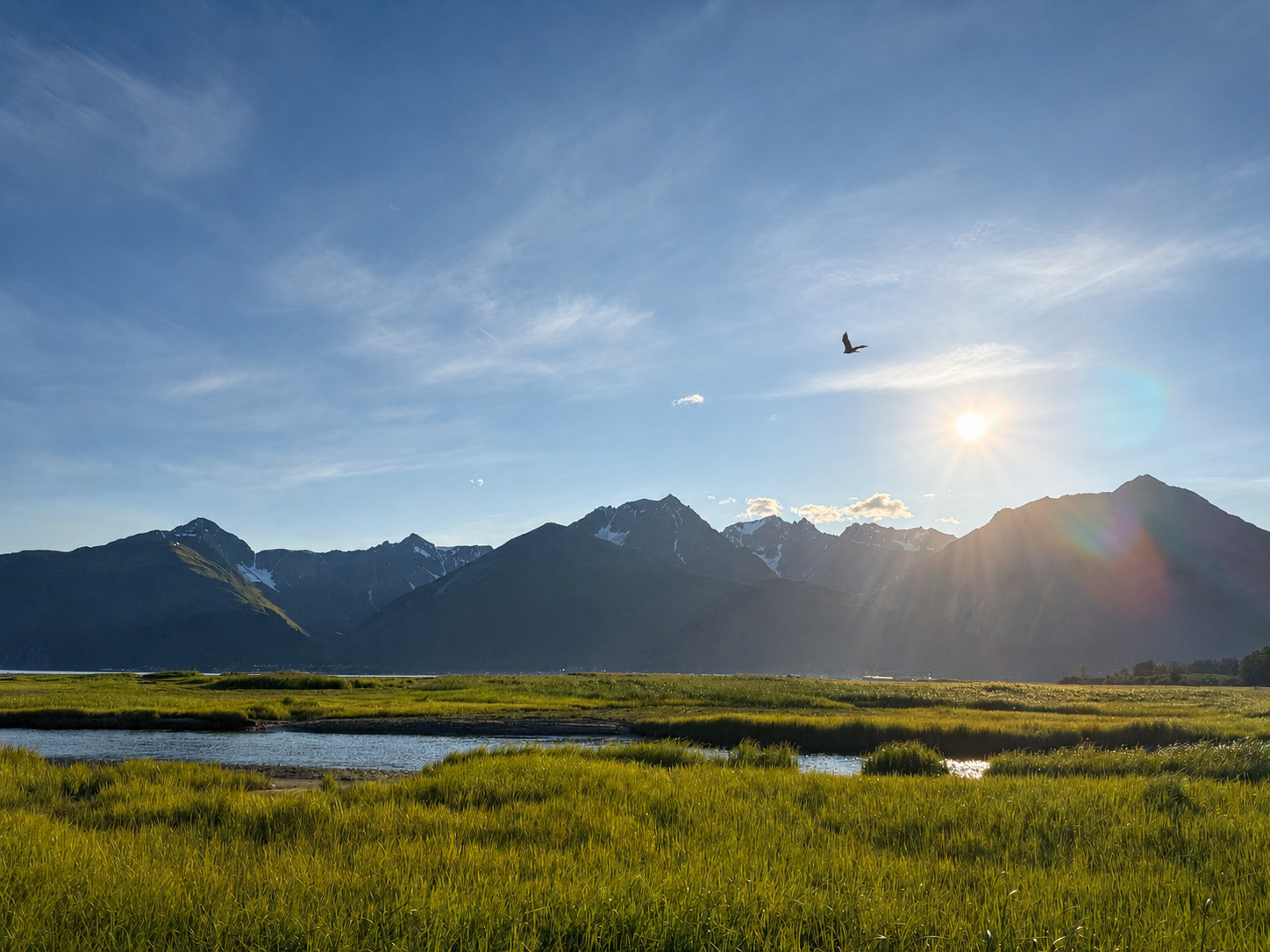 An eagle flying above sunlit mountains and coastal wetlands near Resurrection Spa in Seward